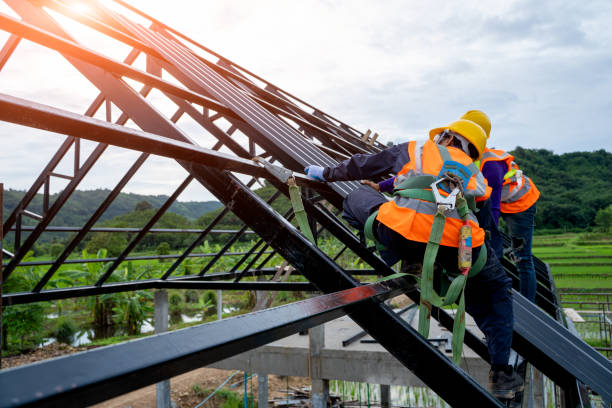 Best Metal Roofing Contractor  in Weldon, NC