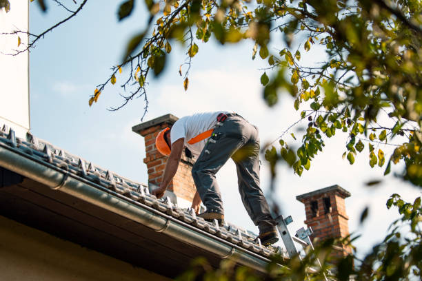 Professional Roofing Contractor in Weldon, NC