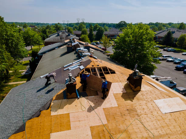 Quick and Trustworthy Emergency Roof Repair Services in Weldon, NC