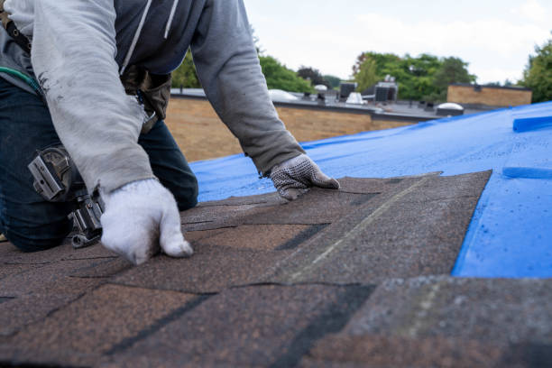 Best Commercial Roofing Services  in Weldon, NC