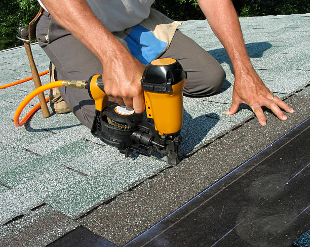 Best Roof Gutter Cleaning  in Weldon, NC