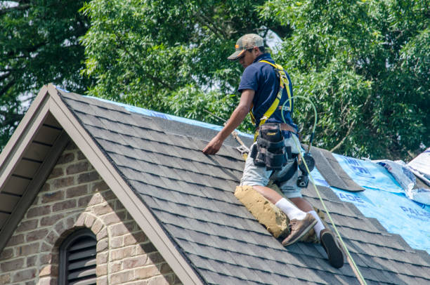Best Residential Roofing Contractor  in Weldon, NC